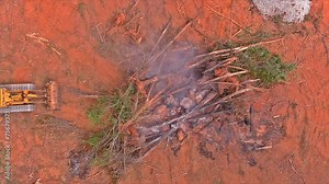 Preparation of land for construction house by burning uprooted trees