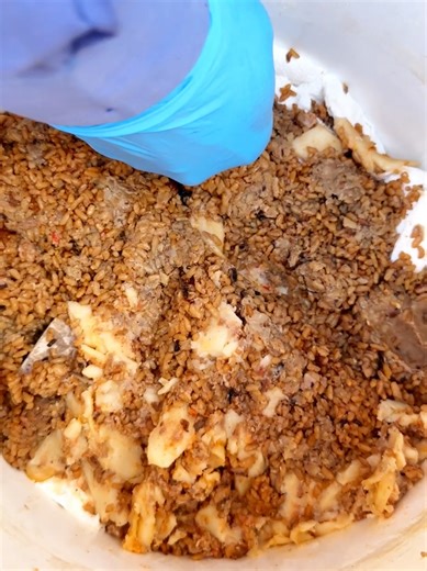 🍲إعادة تدوير الأغذية المطبوخة إلى سماد عضوي وحيوي🍲 ( الجزء الأول ) نوضح في الحلقة كيفية تحويل بقايا الطعام حتى المطبوخ منه إلي أسمدة عضوية وحيوية بالطريقة اليابانية عن طريق ( تخمر المواد العضوية ) والتي تسمى البوكاشي ( Bokashi ) ، وكيف يتم التخمر ثم التحلل واستخدامه في الزراعة المنزلية . روابط الحلقات الخاصة بتحضير بودر البوكاشي ------------------------ https://youtube.com/playlist?list=PLkB78SCNU2qAyioB3fEdhD_T4ZFiiQvtP&si=n4L0HNS_Q4ZN9z79 المصادر ------------ https://en.wikipedia.org/wiki/Bo