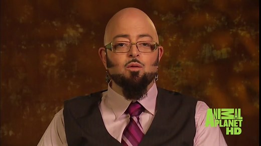 Cats 101 (TV Series 2008–2012)