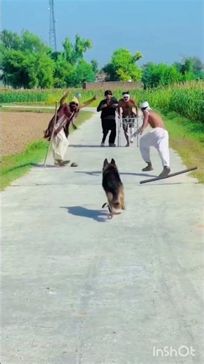 Omg Moments 🤣😂😂 #shorts #viralvideo #funny #funnyvideo #comedy