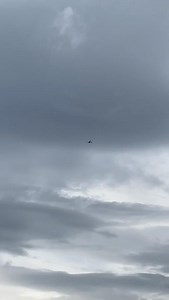 7.7K views · 115 reactions | The increase in raptor species across many areas, can have a negative impact on other species. For this red kite, it doesn’t matter that the curlew is an IUCN red listed species of conservation concern - for the red kite the curlew chick is just a source of protein… Please refrain from commenting they only eat dead carrion, they don’t! | Peak District Moorland Group | Facebook