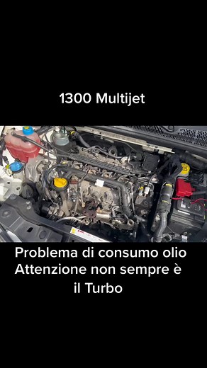 Risoluzione Consumo Olio Motore 1.3 Multijet - Prova e Soluzioni