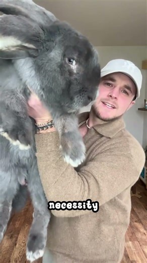 5 Secrets Your Bunny Is Hiding From You 🐇
