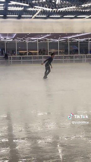 Black Edea Ice Fly Skates Review and Experience