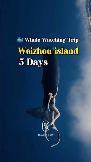 Time to go to weizhou island and watch the whales. 5 days romantic trip for guangxi.#guangxi #travel