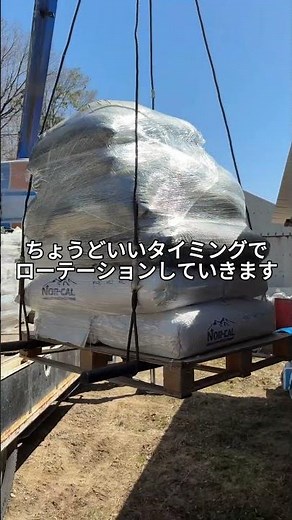 資材が届きました #シクラメン #シクラメンの育て方 #増田園芸