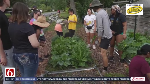 Urban farming program tackles food deserts and builds community resilience