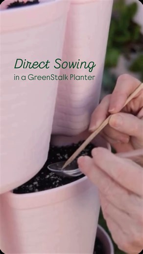 1.4K views · 89 reactions | The easiest way to plant a GreenStalk Vertical Planter is by direct sowing! 凌 Get ready to grow as our lead gardener, Susie, is here to help you with all things tips & tricks!  Check out our YouTube channel for more! Link in bio | GreenStalk Garden | Facebook