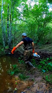 2K views · 45 reactions | Cutting Up The Last Tree! || Beaver Dam Removal! #beaverdamremoval #newcreek #beaverdam #damremoval #beavers #dam #drain #draining #water #unclogging #terrellspivey #fypシ゚ #foryoupageシ #foryou #viralreels #viralvideo #viralFBvideo #FBVIDEO #viralfbreels #reelsviralfb #fbreelsfypシ゚viral #fb #viralfb | Terrell Spivey | Facebook