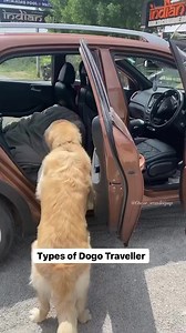 Which types of traveller you are? #oscarwonderpup #traveller #travellingdog | Oscar Wonderpup
