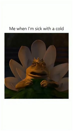 𝑪𝒉𝒆𝒓𝒊𝒆 on Instagram: "Fun fact: Shrek the Third (2007): King Harold’s transformation back into a frog as he dies is a reversal of the usual fairy tale trope. Instead of ending as a handsome prince, he returns to his original form, showing that his true self was the frog all along. The scene was written to underline the series’ theme that real worth isn’t about appearances. #instadaily #pageforyou"