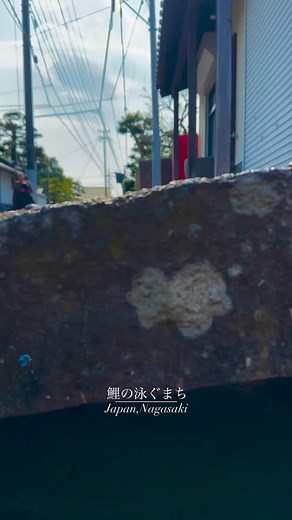 6.8K views · 216 reactions | Japanese channels are so clean, just look into the water... A town where carp swim (Nagasaki Prefecture) / Nagasaki Nagasaki : tastu.s_films #edojapantravel #edojapan #japan #japantravel #japantravelguide #japantrip #travel #traveljapan #beauty #beautiful #beautifuljapan #hiddengems #kyoto #osaka #tokyo | Edo Japan Travel | Facebook