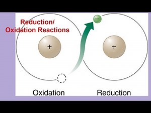 Module 16 (First Half) Apologia Chemistry