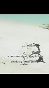 326K views · 7K reactions | Get ready for some serious dino-mite fun! ✨ | Love Dinosaurs | Facebook