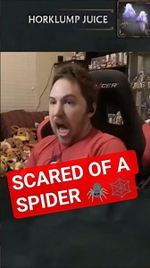 Grown-ass man scared of a lil digital spider.
