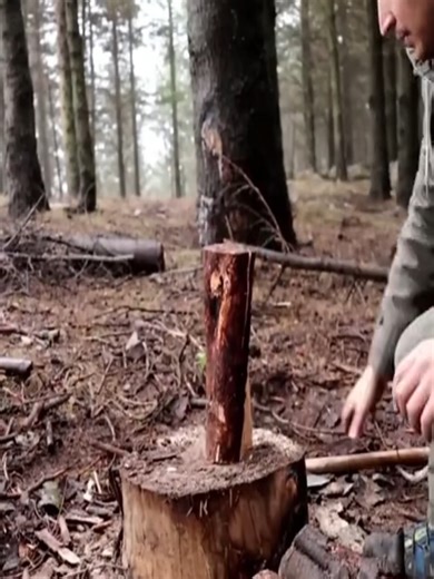 Solo Camping & Wilderness Cooking | Mighty Banana