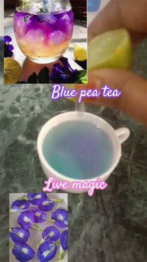 Blue pea tea live color change #beautiful #food#ihavethisthingwithplants#viral#youtubeautiful#pcod