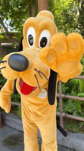 Dance with me, Pluto! #disney #dca #disneyland #disneyparks