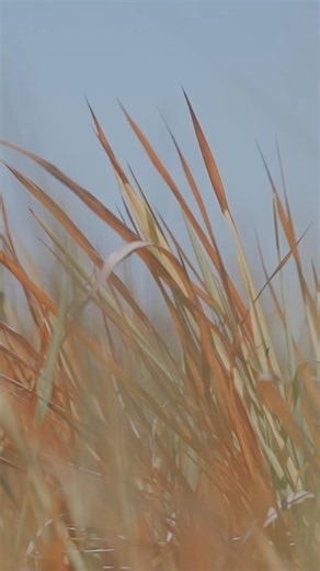 The INEOS Game Viewer Concept has been creating a stir in the wildest of places. | INEOS Grenadier