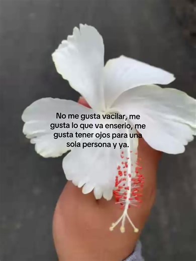Lo que va enserio en el amor