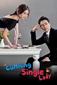 Cunning Single Lady (2014) - TV Show