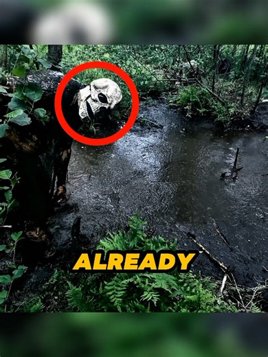 Stranded in Mud: A Scary Paranormal Experience