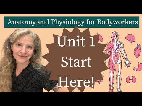 Anatomy & Physiology for Bodyworkers | A&P Foundations for MBLEx Prep