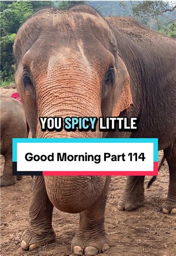 #goodmorning #morningmotivation #motivationalvideo #dailymotivation | Morning Motivation