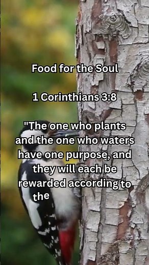 Faithful Labor in God’s Work | 1 Corinthians 3:8 🌿💛