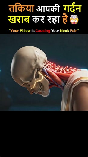 Why a High Pillow Damages Your Neck #pillow #neckpain #ayurveda #healthscience #ancientindia