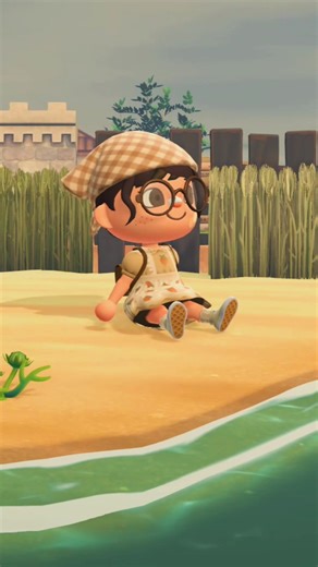 Creating the Perfect ACNH Island: Attention to Detail