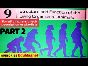 DAV CLASS 6 SCIENCE CHAPTER 9 STRUCTURE AND FUNCTION OF LIVING ORGANISMS- ANIMALS EXPLANATION PART2