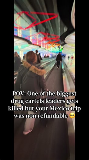 Cancun Trip vs. Drug Cartel Chaos