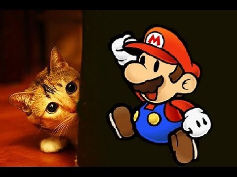 MARIO FAIT PEUR AUX CHATS - PAROLE DE CHAT