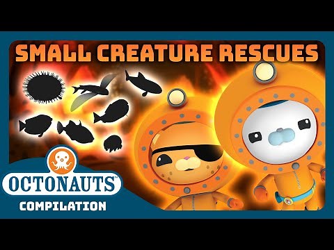 ‪@Octonauts‬ - 🐡 Small Creatures Rescues! 🪸 | 3 Hours+ Full Episodes Marathon