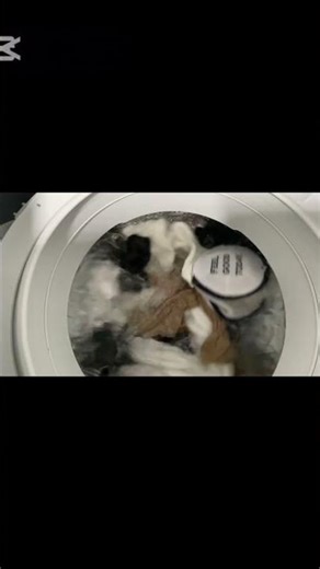 calming laundry ASMR #shorts #asmr #oddlysatisfying #whitenoise #washingmachine