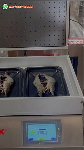 Advanced Shrimp and Prawn Vacuum Skin Packing Machine for Optimal Preservation