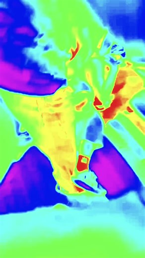 Video Credits and Creator Acknowledgment