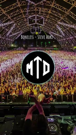 Boneless - Steve Aoki #musica #techno #technodance #edm #musiclover #steveaoki
