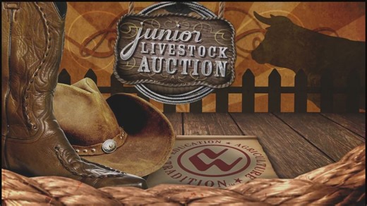 2025 National Western Junior Livestock Auction