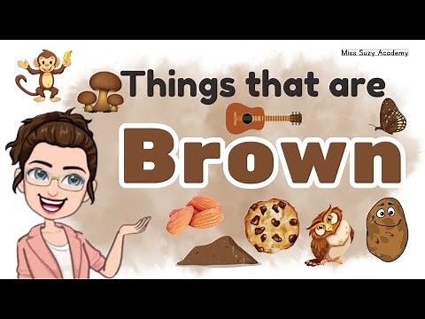 THINGS THAT ARE BROWN Learning Colors for Kids | Brown Color Objects