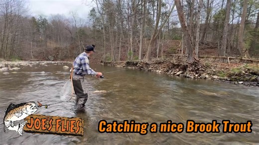 2.9K views · 41 reactions | Shout out to Wayne Worth for this clip of a him catching a nice brook trout on the Black Gnat! What is your go to spinner for trout this time of year? | Joe's Flies Inc. | Facebook