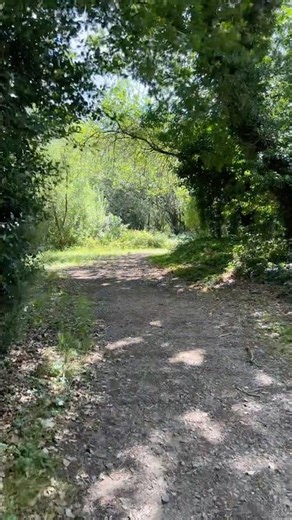 📍beautiful London city Mitcham Common 🇬🇧