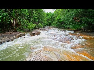 4K Waterfall River in Lush Forest – 10 Hours of Nature Sounds for Sleep (No Birds, Stream Sounds).