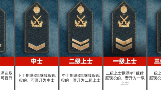 中国军人军衔等级及常服肩章