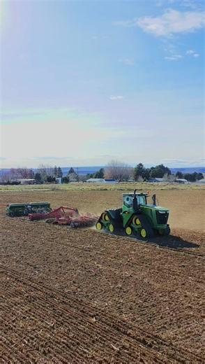 Drilling Wheat: A Closer Look at Modern Farming Techniques
