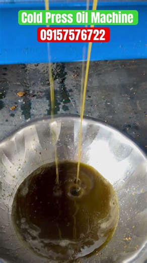 Low Cost Oil Expeller Machine | Best Cold Press Oil Machine #shortsfeed #agriculture #oilextraction