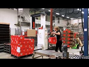 TAWI Multi-functional Vacuum Lifter | Lifting Boxes off Conveyor to Pallets