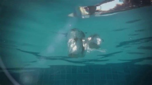 Pool Safely TV Spot, 'It Seems That Kids Are Made for Water'