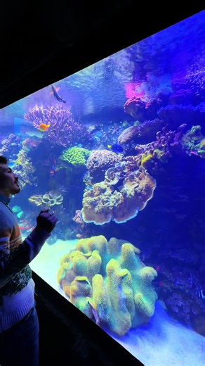 #houston #fyp #dateideas #astetic